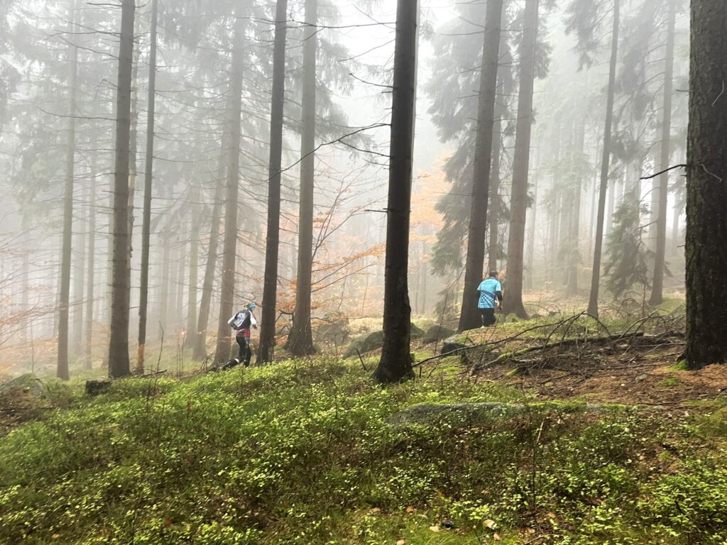 574570357_10239165968677198_1339618029314064864_n