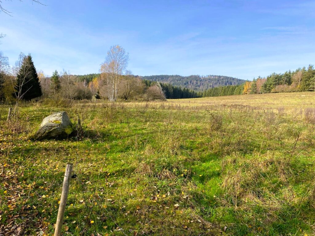 WhatsApp-Image-2026-01-12-at-18.51.11b