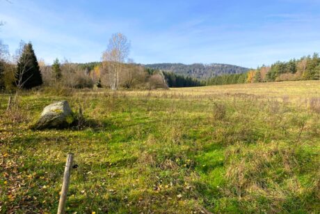 WhatsApp-Image-2026-01-12-at-18.51.11b