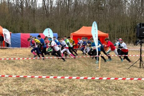 WhatsApp-Image-2026-03-27-at-15.55.47-1