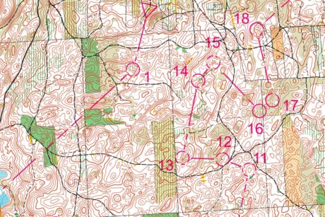 Vystrizek-2-1